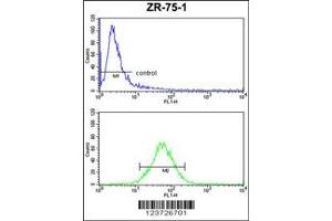 Flow Cytometry (FACS) image for anti-E2F5 (E2F5) antibody (ABIN2158624)