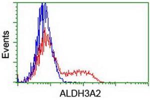 Image no. 1 for anti-Aldehyde Dehydrogenase 3 Family, Member A2 (ALDH3A2) antibody (ABIN2715922)