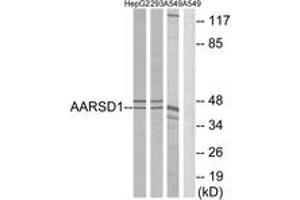 Image no. 1 for anti-Alanyl-tRNA Synthetase Domain Containing 1 (AARSD1) (AA 141-190) antibody (ABIN1534611)