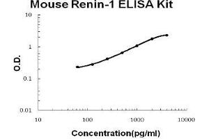 Image no. 1 for Renin (REN) ELISA Kit (ABIN1889403)