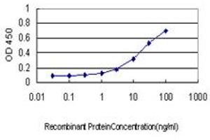 CREG1 antibody  (AA 121-220)