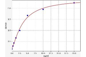 ACTN3 ELISA 试剂盒