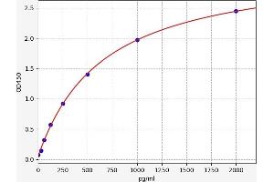 Fibulin 5 ELISA 试剂盒