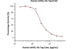 Measured by its inhibitory ability in a competitive ELISA.