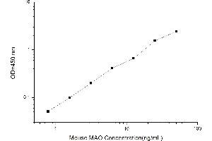 Image no. 1 for Monoamine Oxidase (MAO) ELISA Kit (ABIN1116010)