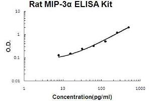 Image no. 1 for Chemokine (C-C Motif) Ligand 20 (CCL20) ELISA Kit (ABIN921068)