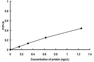 Image no. 1 for PTK2B Protein tyrosine Kinase 2 beta (PTK2B) (AA 1-967) protein (GST tag) (ABIN5570664)