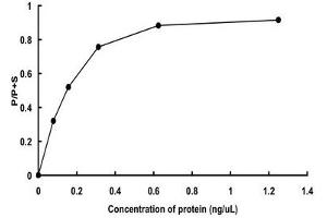 FER Protein (AA 1-822) (GST tag)