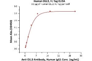 Image no. 1 for delta Like Protein 3 (DLL3) (AA 27-492) protein (Fc Tag) (ABIN6809963)