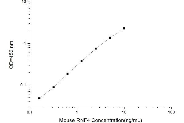 RNF4 ELISA Kit