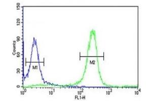 Image no. 1 for anti-FYN Oncogene Related To SRC, FGR, YES (FYN) (AA 1-30) antibody (ABIN3031010)