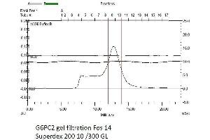 Size-exclusion chromatography-High Pressure Liquid Chromatography (SEC-HPLC) image for Glucose-6-Phosphatase, Catalytic, 2 (G6PC2) (AA 1-355) protein (rho-1D4 tag) (ABIN3107268)