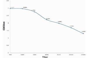 SCGB1A1 antibody  (AA 21-86)