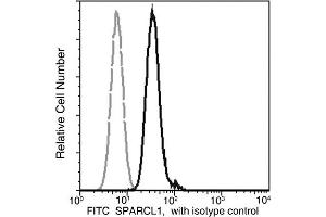 Image no. 1 for anti-SPARC-Like 1 (Hevin) (SPARCL1) (AA 1-664) antibody (FITC) (ABIN1995517)