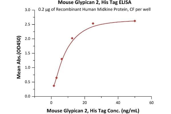 Glypican 2 (GPC2) (AA 22-556) (Active) protein (His tag)
