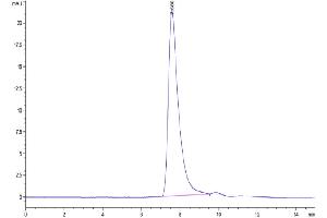 The purity of Cynomolgus Her2 is greater than 95 % as determined by SEC-HPLC.
