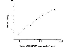 VEGF Receptor 2 (VEGFR2) ELISA Kit