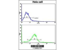 Flow Cytometry (FACS) image for anti-Ectodysplasin A (EDA) antibody (ABIN2158632)