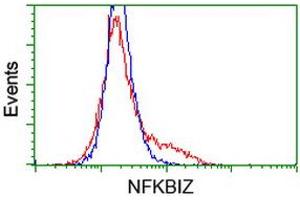 Image no. 1 for anti-Nuclear Factor of kappa Light Polypeptide Gene Enhancer in B-Cells Inhibitor, zeta (NFKBIZ) antibody (ABIN2727234)