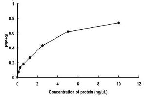 NEK9 Protein (AA 1-346) (GST tag)