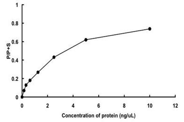 NEK9 Protein (AA 1-346) (GST tag)