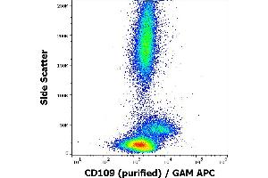 Image no. 2 for anti-CD109 (CD109) antibody (ABIN6559811)