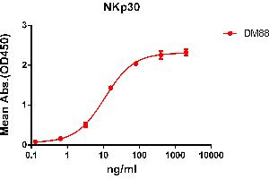 NCR3 anticorps  (AA 19-135)