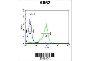 Image no. 2 for anti-Glucagon-like peptide 1 (GLP-1) (Center) antibody (ABIN2437636)