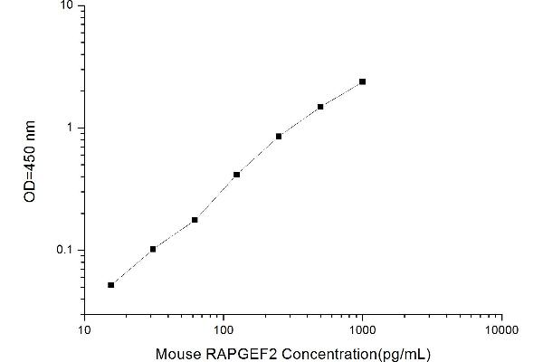 Rap Guanine Nucleotide Exchange Factor (GEF) 2 (RAPGEF2) ELISA Kit