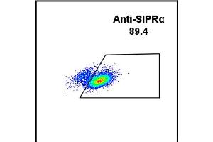 Image no. 2 for anti-Signal-Regulatory Protein alpha (SIRPA) (AA 31-370) antibody (ABIN6961045)