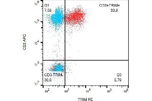 Flow cytometry analysis (intracellular staining) of human peripheral blood with mAb TRIM-04 PE.