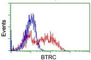 Image no. 2 for anti-beta-Transducin Repeat Containing (BTRC) (AA 52-354) antibody (ABIN1491577)