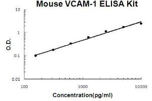 Image no. 1 for Vascular Cell Adhesion Molecule 1 (VCAM1) ELISA Kit (ABIN411368)