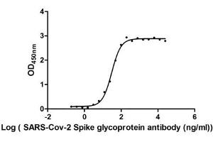 Image no. 5 for SARS-CoV-2 Spike S1 (RBD) protein (His tag,MYC tag) (ABIN6953168)