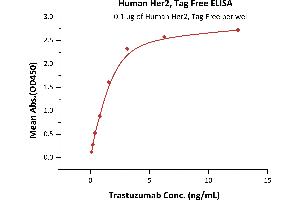 Immobilized Human Her2, Tag Free (ABIN6731310,ABIN6809903) at 1 μg/mL (100 μL/well)can bind Trastuzumab with a linear range of 0.