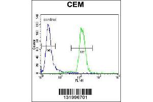 Flow Cytometry (FACS) image for anti-Disrupted in Schizophrenia 1 (DISC1) (C-Term) antibody (ABIN2160595)