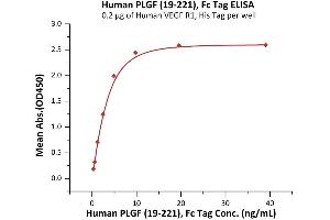 Image no. 2 for Placenta Growth Factor (PGF) (AA 19-221) (Active) protein (Fc Tag) (ABIN6973195)