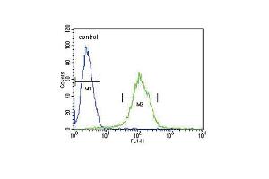 Flow Cytometry (FACS) image for anti-Complement Factor H-Related 5 (CFHR5) antibody (ABIN2160058)