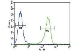 anti-Plasminogen Activator, Tissue (PLAT) (AA 371-399) antibody