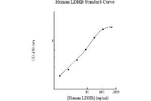 Image no. 1 for Lactate Dehydrogenase B (LDHB) ELISA Kit (ABIN5564579)