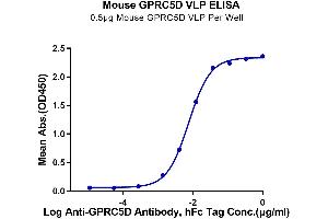 ELISA image for G Protein-Coupled Receptor, Family C, Group 5, Member D (GPRC5D) (Active) protein-VLP (ABIN7448171)