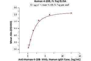 Immobilized Human 4-1BB, Fc Tag (ABIN2180548,ABIN2180547) at 1 μg/mL (100 μL/well) can bind A 4-1BB MAb, Human IgG4 with a linear range of 0.