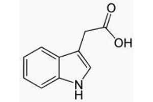 Image no. 1 for Indole 3 Acetic Acid (IAA) peptide (BSA) (ABIN5665977)