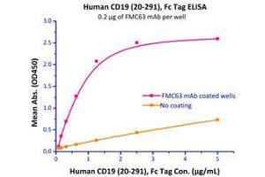 Immobilized FMC63 mAb at 2 μg/mL (100 μL/well) can bind Human CD19 (20-291), Fc Tag (Cat# CD9-H5259 ) with a linear range of 0.