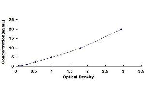 NOTCH2NL ELISA Kit