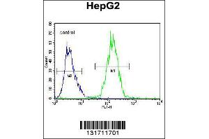 Image no. 1 for anti-Retinol Dehydrogenase 13 (All-Trans and 9-Cis) (RDH13) (Center) antibody (ABIN2496488)