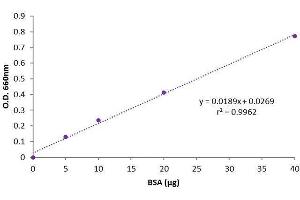 Lowry Protein Quantification Assay Kit Abin3172698