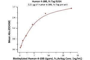 Immobilized Human 4-1BB, Fc Tag (ABIN2180548,ABIN2180547) at 0.