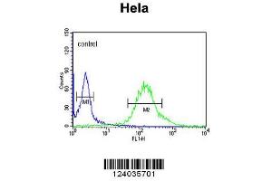 Image no. 3 for anti-G-2 and S-Phase Expressed 1 (GTSE1) (AA 690-717), (C-Term) antibody (ABIN653838)
