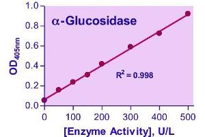 Activity Assay (AcA) image for alpha-Glucosidase Assay Kit (ABIN1000246)